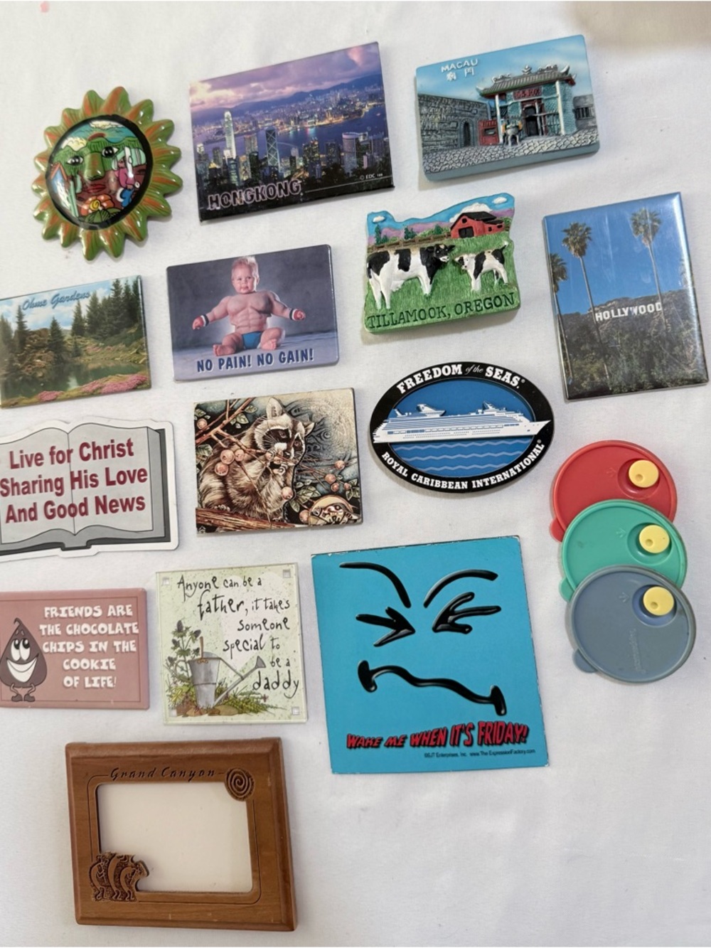 Assorted Decorative Refrigerator Magnets - Colorful Mix